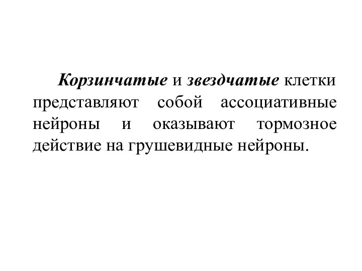 Корзинчатые и звездчатые клетки представляют собой ассоциативные нейроны и оказывают тормозное действие на грушевидные нейроны.