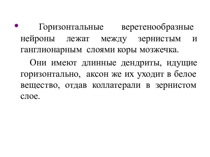 Горизонтальные веретенообразные нейроны лежат между зернистым и ганглионарным слоями коры мозжечка.