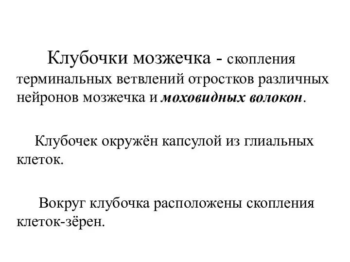 Клубочки мозжечка - скопления терминальных ветвлений отростков различных нейронов мозжечка и