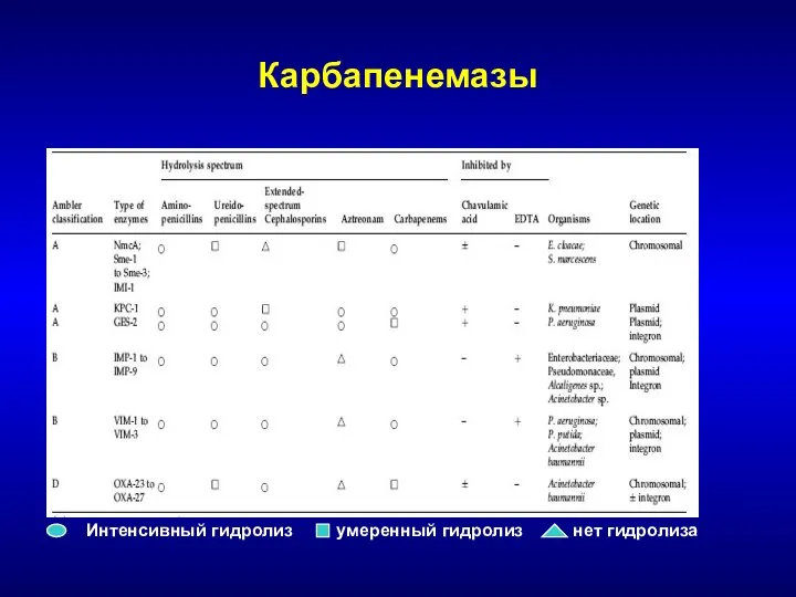 Карбапенемазы Интенсивный гидролиз умеренный гидролиз нет гидролиза