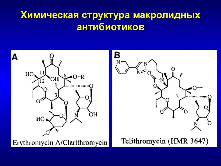 Химическая структура макролидных антибиотиков