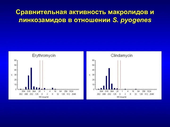 Сравнительная активность макролидов и линкозамидов в отношении S. pyogenes