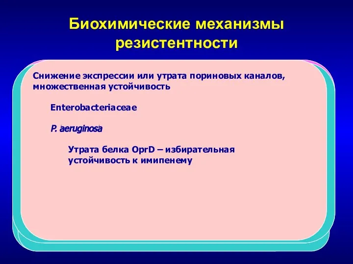 Биохимические механизмы резистентности Ферментативная инактивация препарата Модификация мишени действия Защита мишени