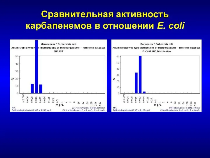 Сравнительная активность карбапенемов в отношении E. coli