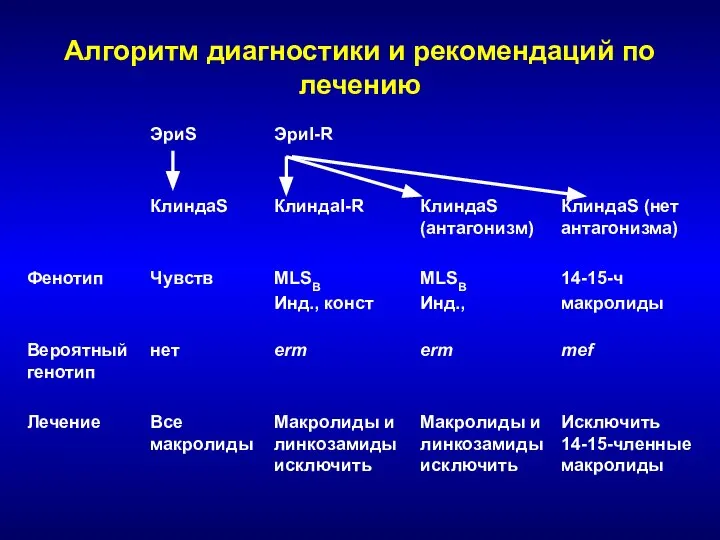 Алгоритм диагностики и рекомендаций по лечению