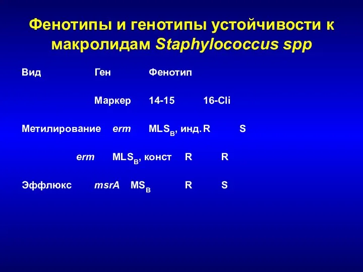 Фенотипы и генотипы устойчивости к макролидам Staphylococcus spp Вид Ген Фенотип