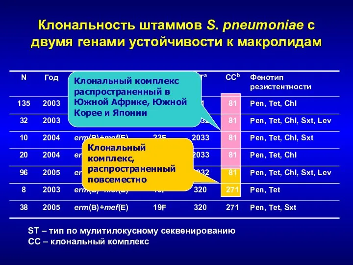 Клональность штаммов S. pneumoniae с двумя генами устойчивости к макролидам ST