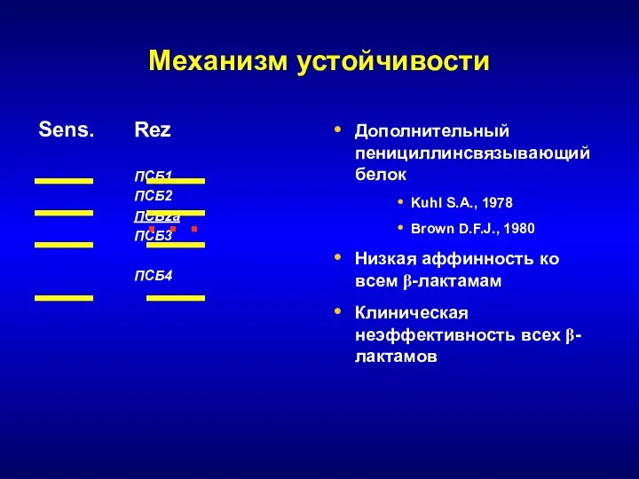 Механизм устойчивости Sens. Rez ПСБ1 ПСБ2 ПСБ2а ПСБ3 ПСБ4 Дополнительный пенициллинсвязывающий