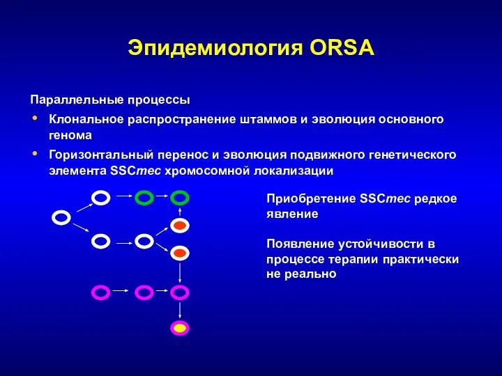 Эпидемиология ORSA Параллельные процессы Клональное распространение штаммов и эволюция основного генома