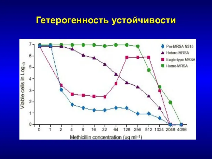 Гетерогенность устойчивости