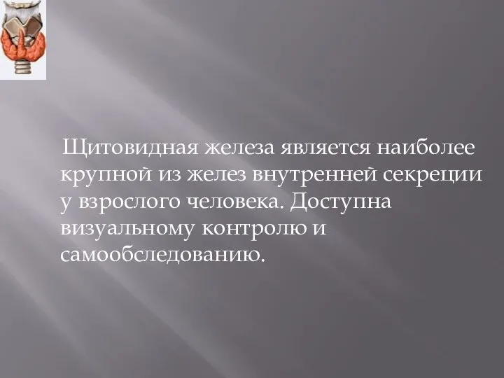 Щитовидная железа является наиболее крупной из желез внутренней секреции у взрослого