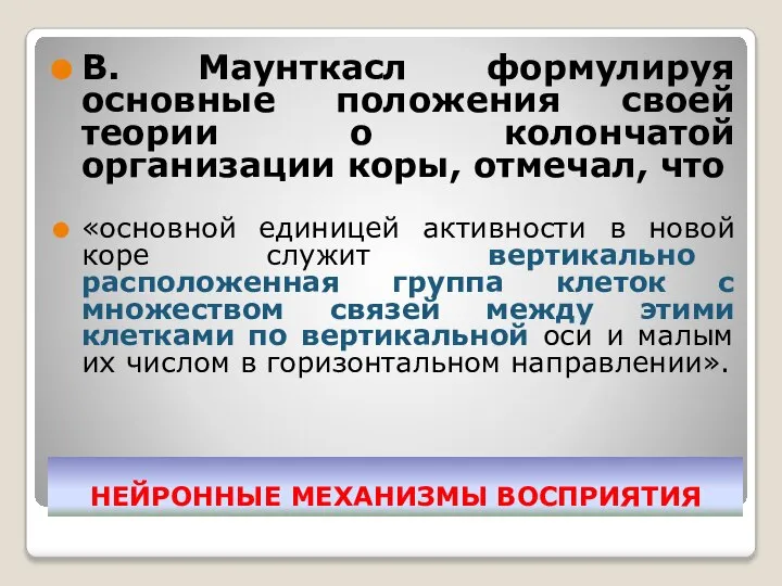 НЕЙРОННЫЕ МЕХАНИЗМЫ ВОСПРИЯТИЯ В. Маунткасл формулируя основные положения своей теории о