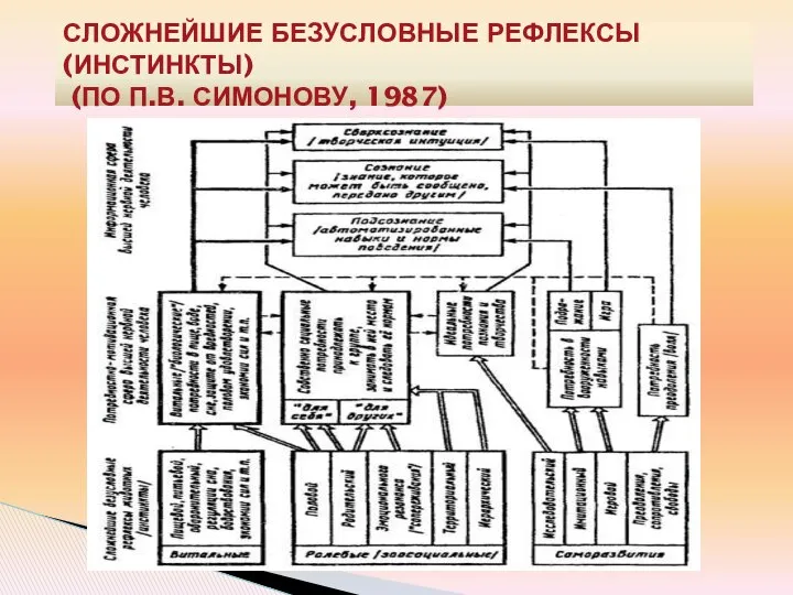 СЛОЖНЕЙШИЕ БЕЗУСЛОВНЫЕ РЕФЛЕКСЫ (ИНСТИНКТЫ) (ПО П.В. СИМОНОВУ, 1987)