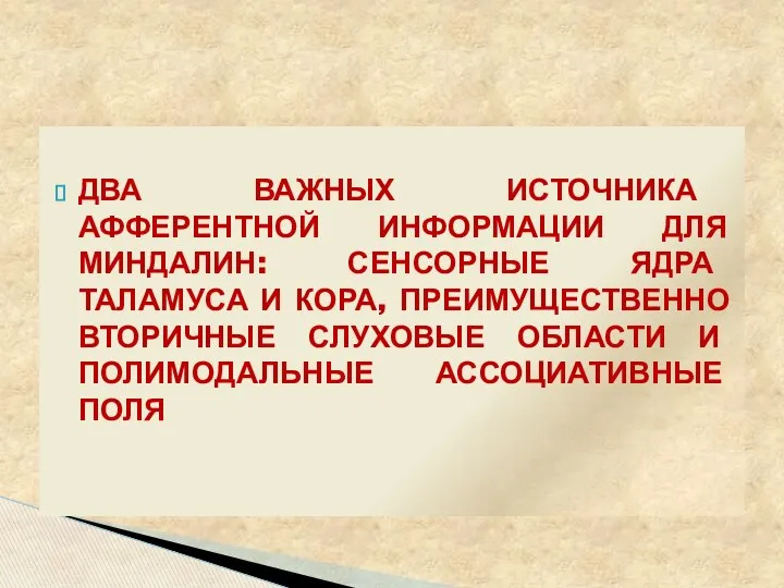 ДВА ВАЖНЫХ ИСТОЧНИКА АФФЕРЕНТНОЙ ИНФОРМАЦИИ ДЛЯ МИНДАЛИН: СЕНСОРНЫЕ ЯДРА ТАЛАМУСА И