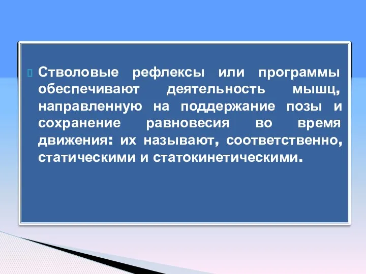 Стволовые рефлексы или программы обеспечивают деятельность мышц, направленную на поддержание позы