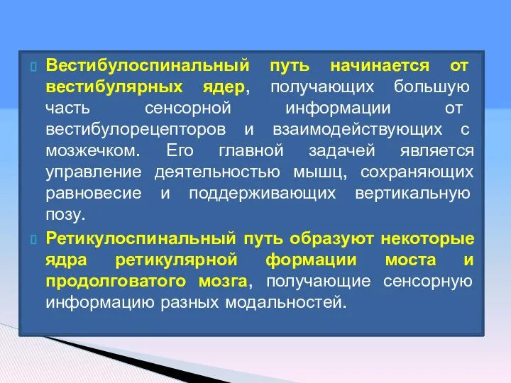 Вестибулоспинальный путь начинается от вестибулярных ядер, получающих большую часть сенсорной информации