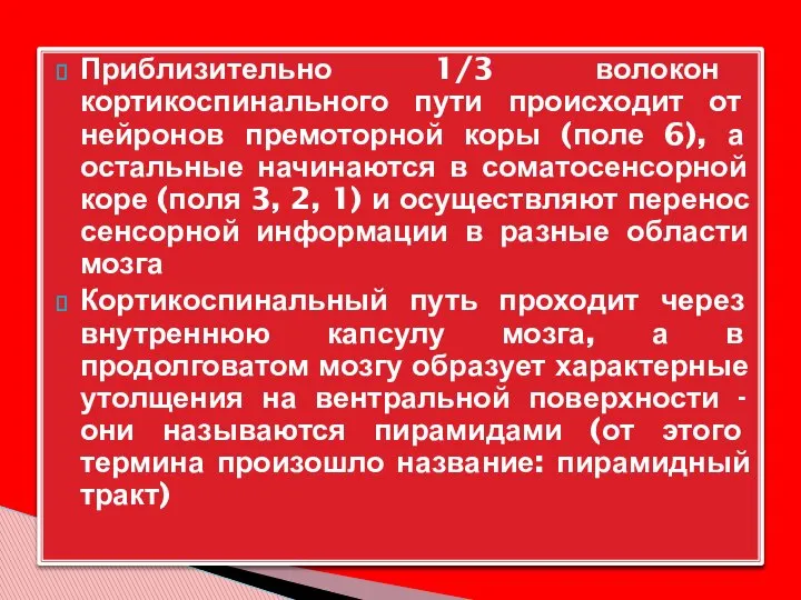 Приблизительно 1/3 волокон кортикоспинального пути происходит от нейронов премоторной коры (поле