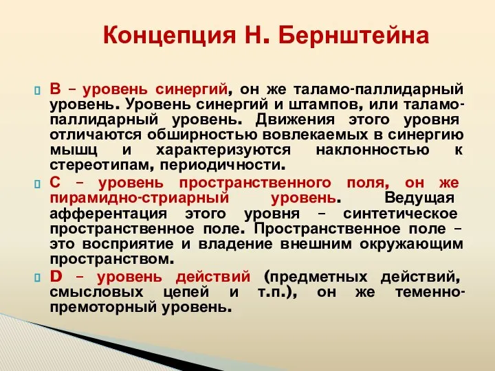 В – уровень синергий, он же таламо-паллидарный уровень. Уровень синергий и