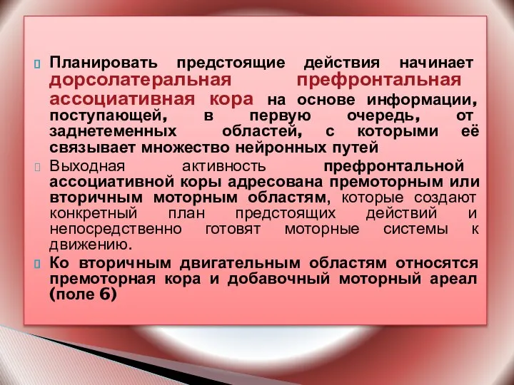 Планировать предстоящие действия начинает дорсолатеральная префронтальная ассоциативная кора на основе информации,