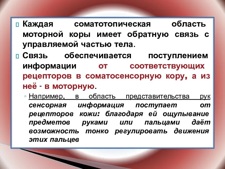 Каждая соматотопическая область моторной коры имеет обратную связь с управляемой частью