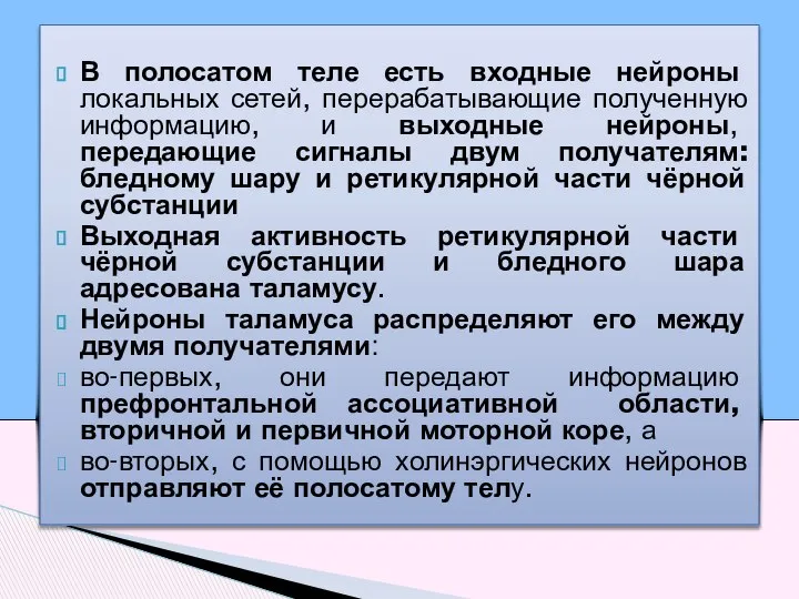 В полосатом теле есть входные нейроны локальных сетей, перерабатывающие полученную информацию,