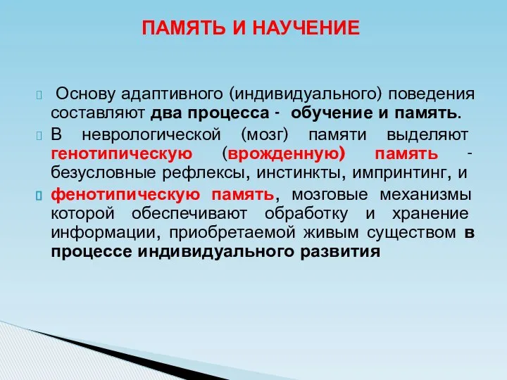 Основу адаптивного (индивидуального) поведения составляют два процесса - обучение и память.