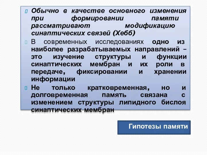 Гипотезы памяти Обычно в качестве основного изменения при формировании памяти рассматривают