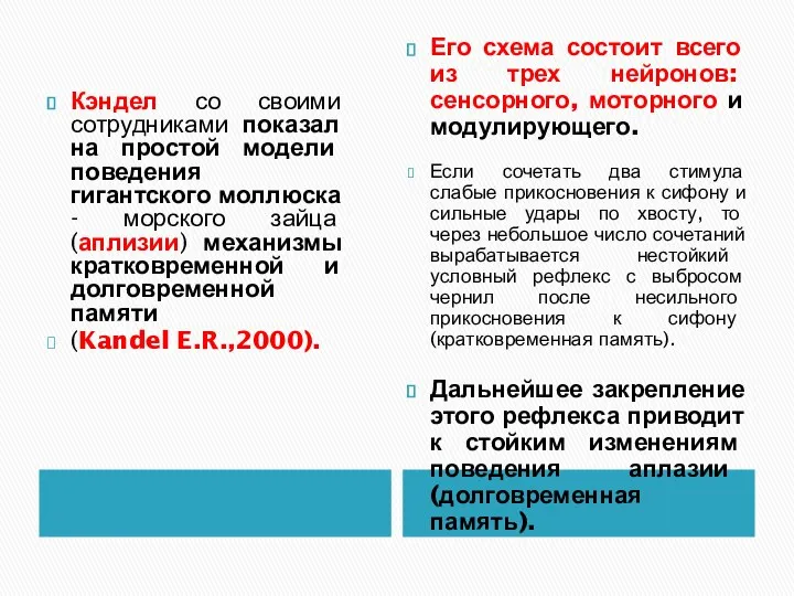 Кэндел со своими сотрудниками показал на простой модели поведения гигантского моллюска