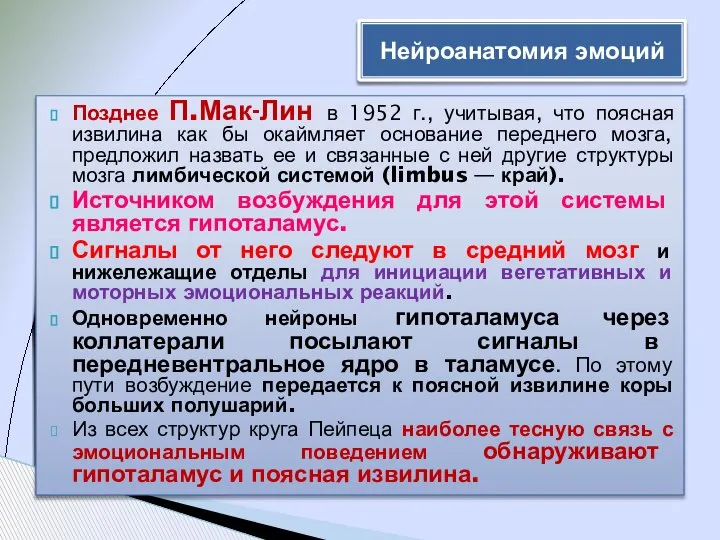 Позднее П.Мак-Лин в 1952 г., учитывая, что поясная извилина как бы