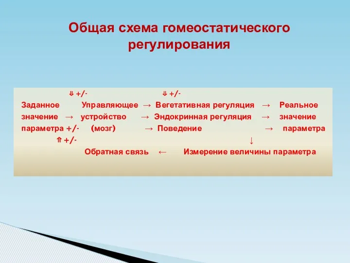 Общая схема гомеостатического регулирования ⇓ +/- ⇓ +/- Заданное Управляющее →