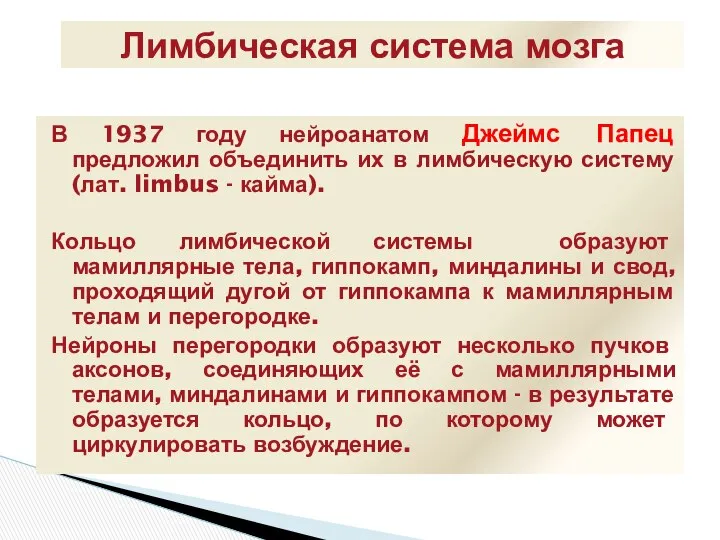 В 1937 году нейроанатом Джеймс Папец предложил объединить их в лимбическую