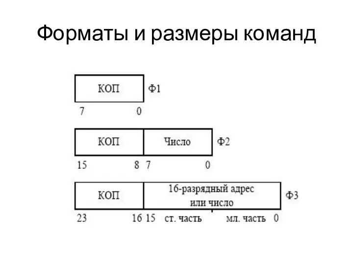 Форматы и размеры команд