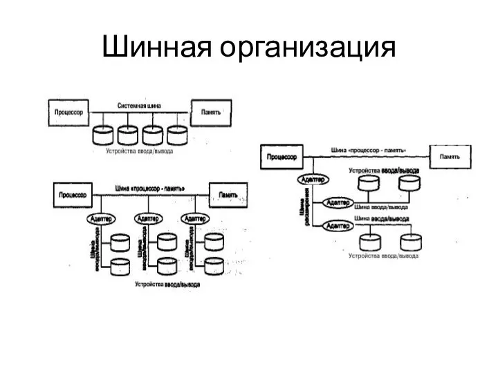 Шинная организация