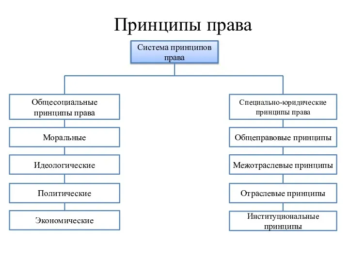 Принципы права Система принципов права Общесоциальные принципы права Специально-юридические принципы права