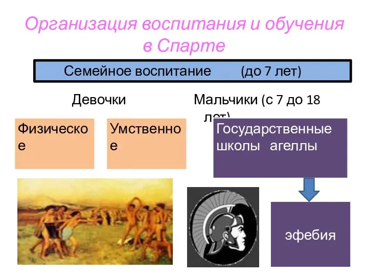 Организация воспитания и обучения в Спарте Девочки Мальчики (с 7 до