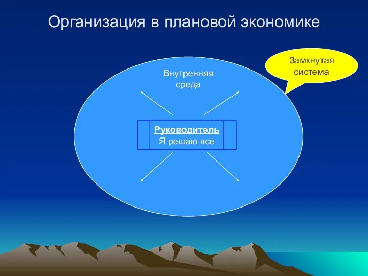 Организация в плановой экономике Замкнутая система Руководитель Я решаю все Внутренняя среда