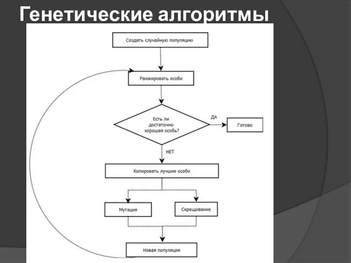 Генетические алгоритмы