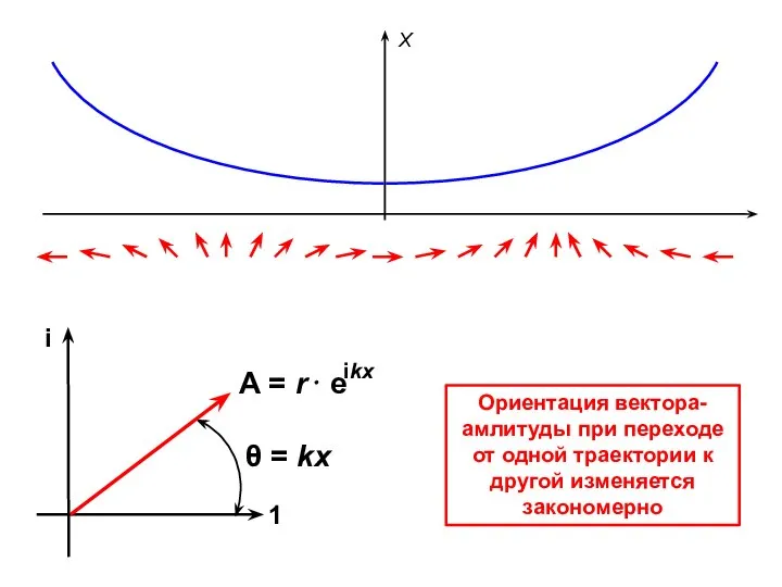 Х Ориентация вектора-амлитуды при переходе от одной траектории к другой изменяется закономерно