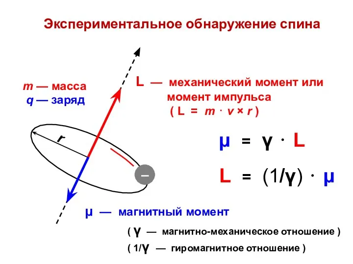 Экспериментальное обнаружение спина m — масса q — заряд ( γ
