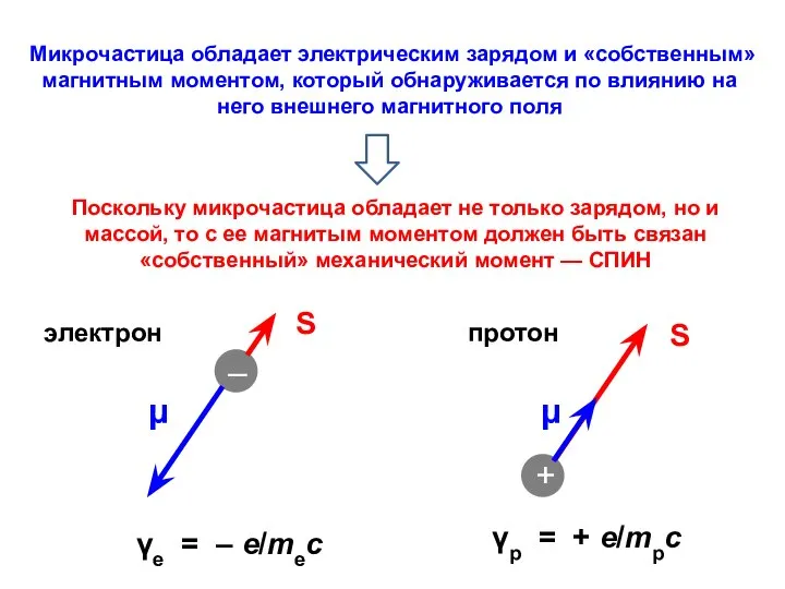 Микрочастица обладает электрическим зарядом и «собственным» магнитным моментом, который обнаруживается по