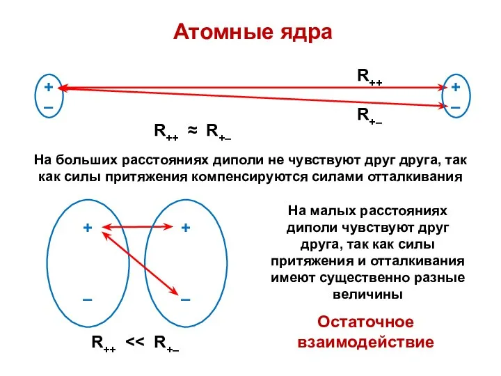 Атомные ядра На малых расстояниях диполи чувствуют друг друга, так как