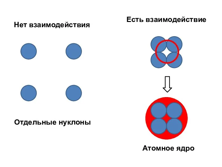 Отдельные нуклоны Атомное ядро