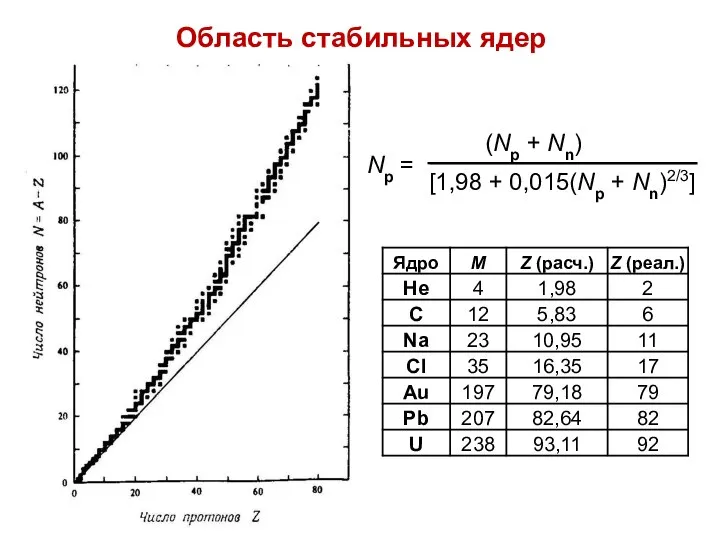 Область стабильных ядер