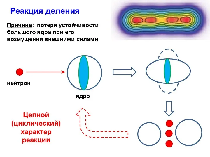 Причина: потеря устойчивости большого ядра при его возмущении внешними силами Реакция деления Цепной (циклический) характер реакции