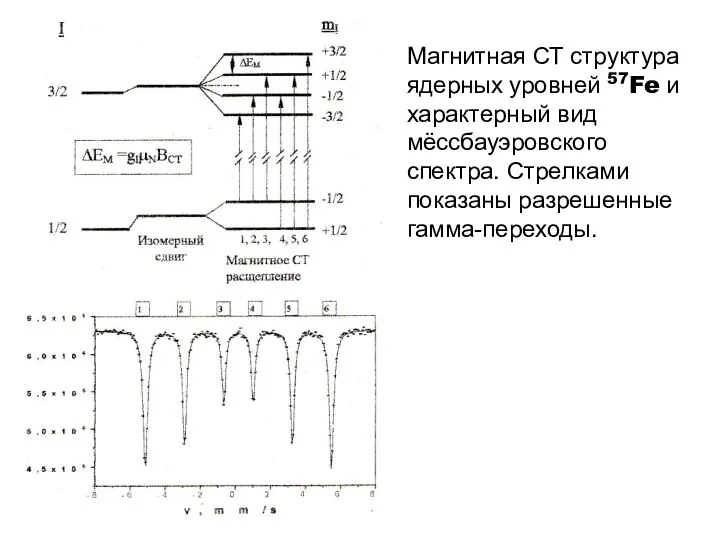 Магнитная СТ структура ядерных уровней 57Fe и характерный вид мёссбауэровского спектра. Стрелками показаны разрешенные гамма-переходы.