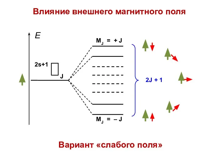 Влияние внешнего магнитного поля Вариант «слабого поля»