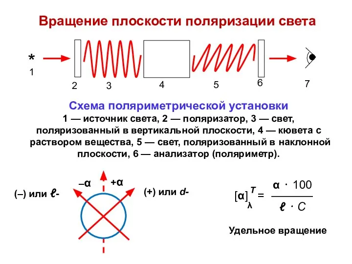 Вращение плоскости поляризации света