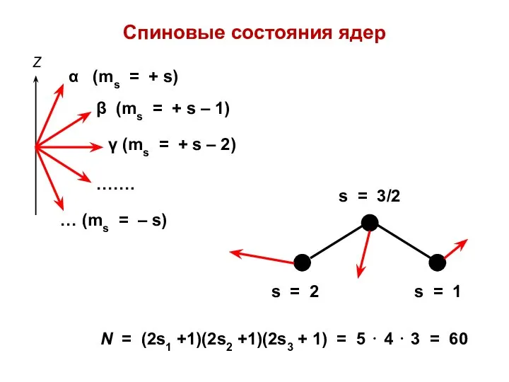 Спиновые состояния ядер N = (2s1 +1)(2s2 +1)(2s3 + 1) =