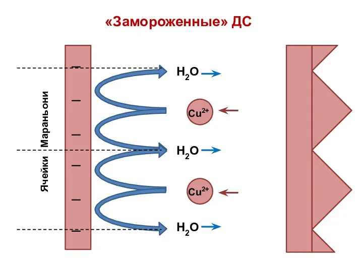 «Замороженные» ДС