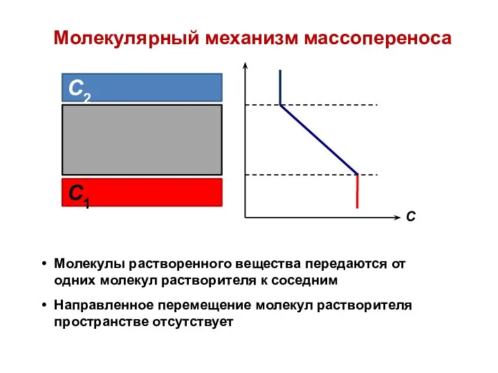 Молекулярный механизм массопереноса Молекулы растворенного вещества передаются от одних молекул растворителя